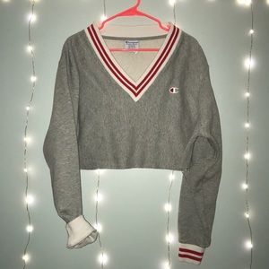 Champion cropped hoodie